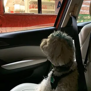 drive thru