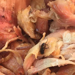 Fly in the carnitas