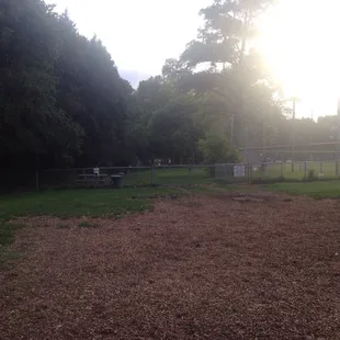 Separate area for small dogs in the back!