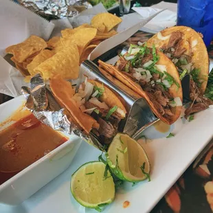 Quesa Birria Tacos