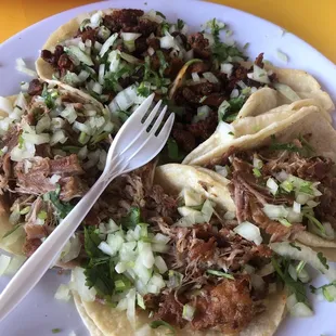 Carnitas tacos