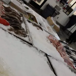 Workers were still putting things on display but basically this is where everything was.