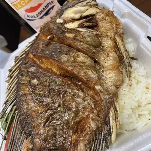 grilled fish, grilled seafood, seafood, fish, food