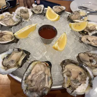 Oysters