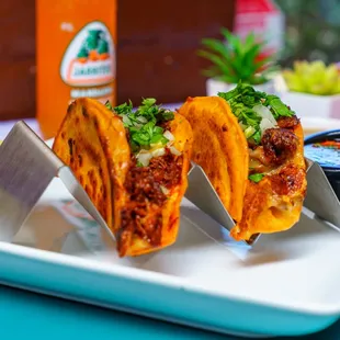 QuesaBirria Tacos