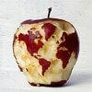 Danni G.
