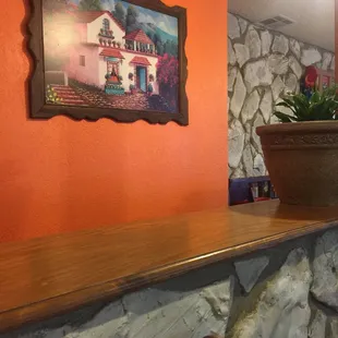 a potted plant on the counter