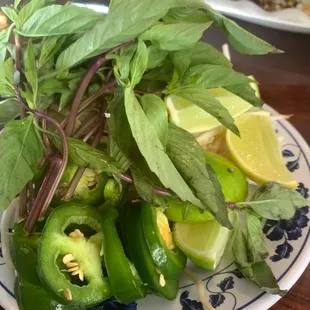 Garden of veggies for your pho