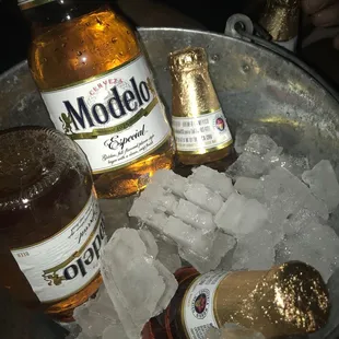 Beer bucket