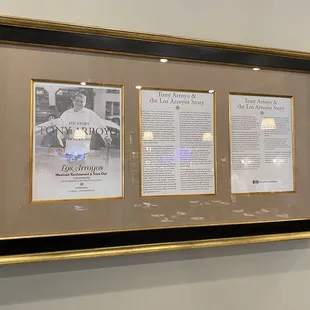 Señor Arroyos story