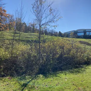 One view from the deck