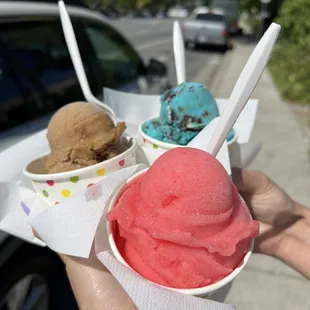 Guayaba (guava), tamarind, and Cookie Monster (mini size)
