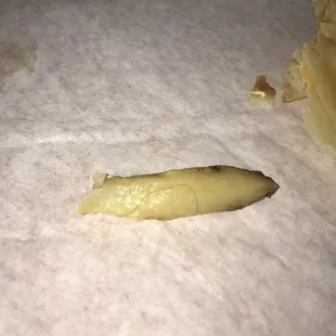 A hair found in my breakfast burrito.