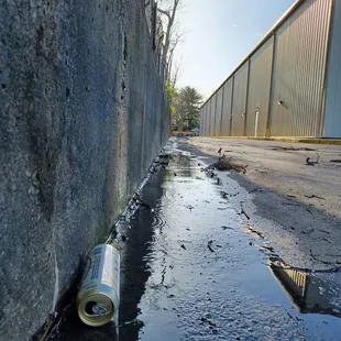 The trash your  eating from some drug lord wannabes