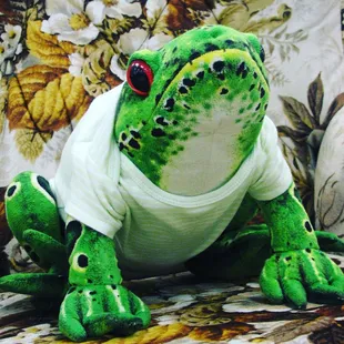 a stuffed frog wearing a t - shirt