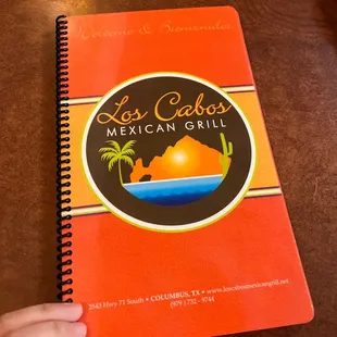 a hand holding a notebook