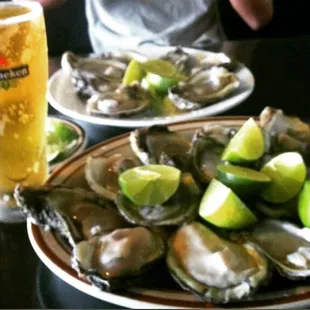 oysters, food, shellfish, oysters and mussels, mussels