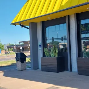 fun SW plants, cactus