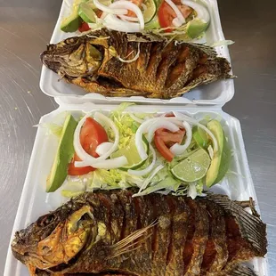 MOJARRAS FRITAS
