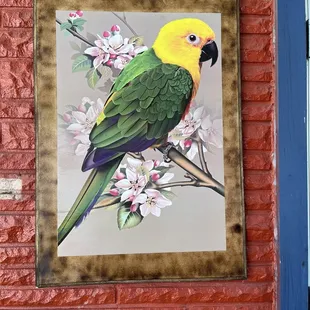 Paintings