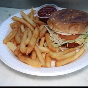 CHICKEN SANDWICH W/FRIES $9.00