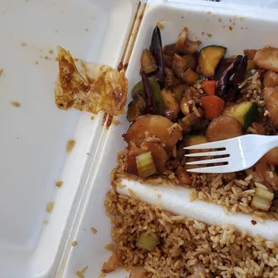 FOOD TASTES AWFUL WITH BURNT SMELL AND TOP OF IT I ALSO GOT A PASTIC COVER FROM THE FOOD....