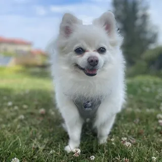 Cindy H.