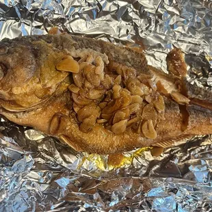 Black Bass