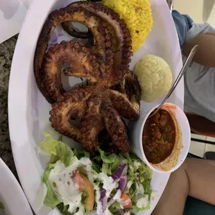 Octopus
