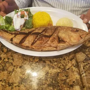 seafood, food, grilled fish, grilled seafood, fish