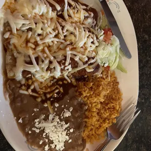 Vegetarian enchiladas