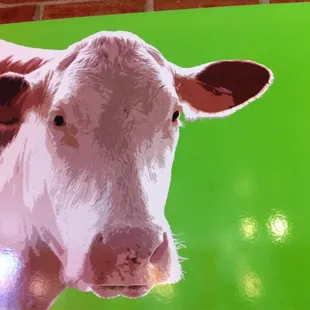 Moo