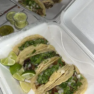 Mexican tacos and burrito