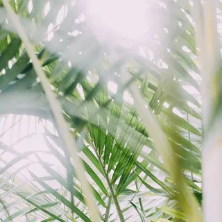 C S.