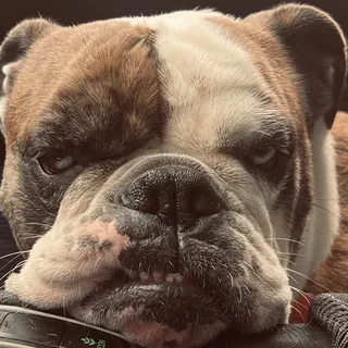 Marlon S.