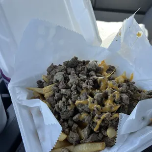 Carne Asada Fries