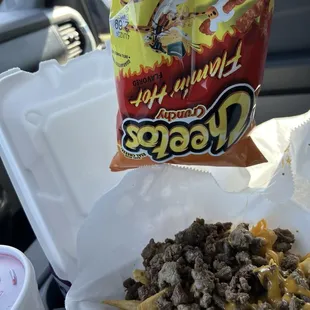 Carne Asada Fries