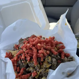 Carne Asada Fries