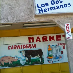 a cow and cow milk