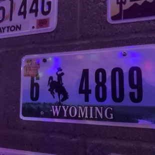 Different car licenses