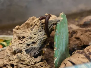 Albuquerque Biological Park