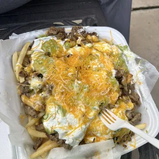 Carne Asada Fries ($12.00, but with tax and surcharge for cc, it was $13.60)