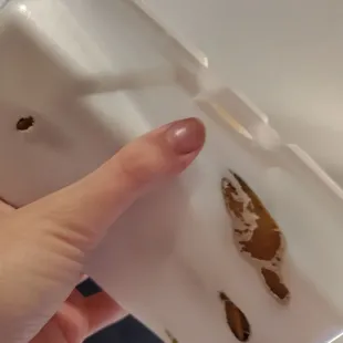 Burnt container of rolled taquitos