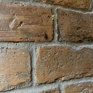 a closeup of a brick wall