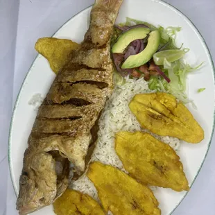 PARGO FRITO TOSTONES ARROZ Y ENSALADA. FRIED RED SNAPER.