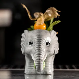 Elephants on Parade