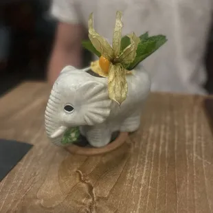 Elephants on Parade