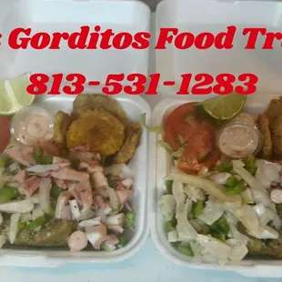 Conch &amp; Octopus
