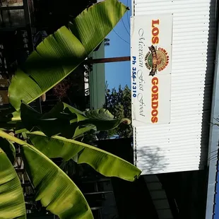 outside, sushi and sashimi