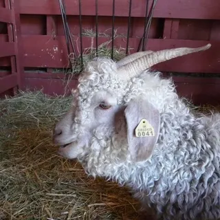 E. M.